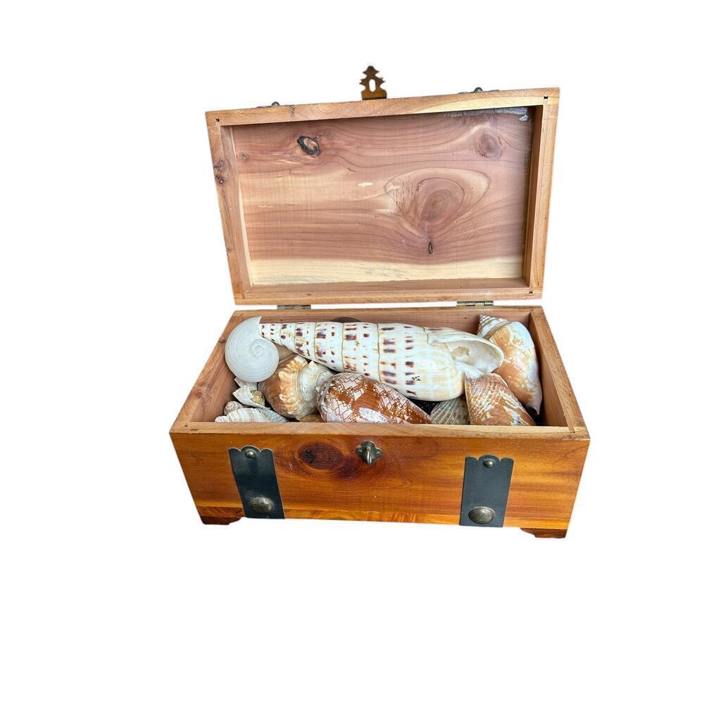 Vintage G. Merz & Son Chicago Wooden Box Treasure Box Full Of Seashells Jewelry